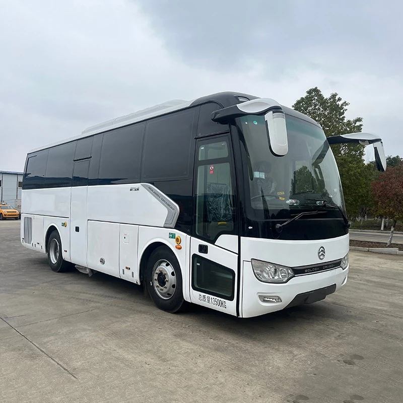 Mobile Dental Clinic Bus suppliers